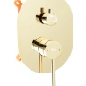 Juego de ducha Rea Oval dorado (REA-P8466)