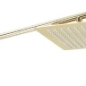 Juego de ducha Rea Oval dorado (REA-P8466)