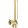 Juego de ducha Rea Oval dorado (REA-P8466)