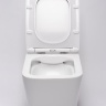 Inodoro Rea Raul Rimless sin aro, suspendido, asiento de duroplast de caída lenta slim (REA-C9660)
