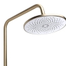 душевая система Rea Foss Clif brushed gold (REA-P3913)