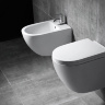 toilet Rea Carlo Mini Rimless 48x37 white + seat duroplast soft-close (REA-C6200)