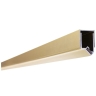 magnetic profile Rea Hugo gold matte (REA-K7771)