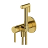 Omnires Y Brushed Brass Hygiene Kit (SYSYBI2BSB)