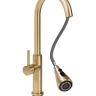 kitchen faucet Rea Nest gold (REA-B6600)