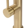 kitchen faucet Rea Nest gold (REA-B6600)