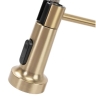 Grifo monomando de cocina Rea Colin dorado (REA-B4821)