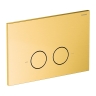 инсталляция Omnires Flush Set ECO, панель смыва STEEL-R45, brushed gold (STFWCECO1R45-RGLB)