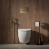 смывная клавиша Omnires STEEL R-45 brushed brass (ST45PS1BSB)