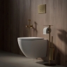 смывная клавиша Omnires STEEL R-45 brushed brass (ST45PS1BSB)