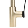 Grifo monomando de cocina Rea Soul dorado/negro (REA-B6205)