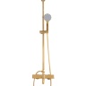 Sistema de ducha Rea Aldi gold (REA-P8802)