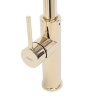 Grifo de cocina Rea Nest dorado (REA-B2058)