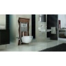 toilet Omnires Ottawa 49x37 rimless wall hung, seat + installation Oli Olipure 30x20 (880780/152972 + OTTAWAMWBP)