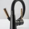 Grifo monomando de cocina Rea ICON negro/dorado (REA-B5682)