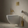 смывная клавиша Omnires STEEL R-45 brushed gold (ST45PS1GLB)