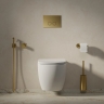 смывная клавиша Omnires STEEL R-45 brushed gold (ST45PS1GLB)