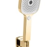 Conjunto de ducha empotrado Rea Orix dorado (REA-P8464)