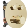 душевая система Rea Lungo Diamond скрытого монтажа, термостат, gold + box (REA-P6965)