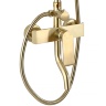 Sistema de ducha Rea Hass dorado (REA-B9972)