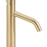 Mezclador de lavabo Rea Level con cepillo dorado (REA-B6218)