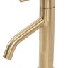 Mezclador de lavabo Rea Level con cepillo dorado (REA-B6218)