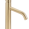 Mezclador de lavabo Rea Level con cepillo dorado (REA-B6218)