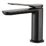 Mezclador de lavabo negro Rea Creek (REA-B8403)