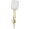 Mezclador de ducha Rea Storm dorado (REA-B9984)
