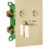 shower set Rea Fenix davis gold (REA-P6324)