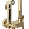 Sistema de ducha Rea Max Gold (REA-P6617)