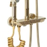 Sistema de ducha Rea Max Gold (REA-P6617)