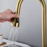 kitchen mixer tap Rea Conor with pull-out spout, gold brush (REA-B6312)