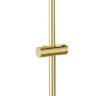 Shower holder Rea gold (REA-P5981)