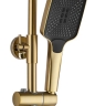 shower system Rea Rob matte gold, with thermostat (REA-P6623)