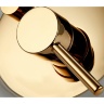 Conjunto de ducha empotrado Rea Lungo dorado (REA-P4110)