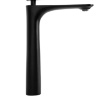 washbasin mixer Rea Berg black (REA-B2039)