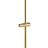 Shower holder Rea gold (REA-P6500)