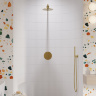 Ducha fija Omnires Y 25x25 oro cepillado (WGSET1GLB)