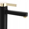 Mezclador de lavabo Rea Polo negro/dorado (REA-B9977)