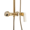 shower system Rea Roger Gold (REA-P0692)