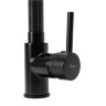 kitchen mixer tap Rea Spring black (REA-B4804)