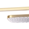 Juego de ducha empotrado Rea Moby dorado cepillado (REA-P2403)