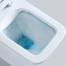 Inodoro Rea Ramon + instalación Grohe Rapid SL, llave (REA-C8536 + 38772001)