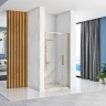 shower door Rea Rapid Swing 100x195 safety glass, transparent, gold (REA-K5619)