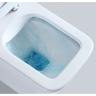 toilet Rea Ramon suspended, without rim, seat duroplast slim n, white (REA-C8536)
