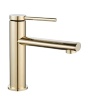 Mezclador de lavabo Rea Oval dorado (REA-B6515)