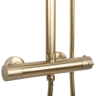 shower set Rea Tom gold brushed (REA-P5004)