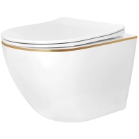 унитаз Rea Carlo Mini 49x35,5 подвесной, безободковый, без шума, смыв торнадо,сиденье, white/gold (REA-C6801)