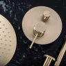 Sistema de ducha Rea Lungo Grip oro cepillado + caja de montaje oculta (REA-P8950)